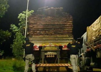 Pará tem cinco flagrantes de transporte de madeira ilegal em apenas um dia