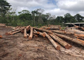 Justiça Federal condena quatro envolvidos em fraudes ambientais no Pará