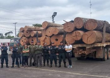 Operação apreende seis caminhões carregados de madeira ilegal em Tucuruí, no PA