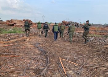 Operação Verde Brasil apreende mais de 300 toras de madeira ilegal no PA