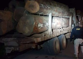 PRF apreende mais de 100 m³ de madeira ilegal em Santa Maria do Pará
