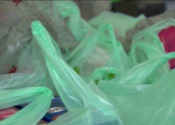 Governo sanciona lei que proíbe o uso de sacolas plásticas no Pará