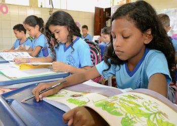 Escolas têm até dezembro para se adequar ao novo currículo da educação no Pará