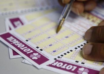 Lotofácil e Quina: confira se você está rico com o resultado desta segunda (7)