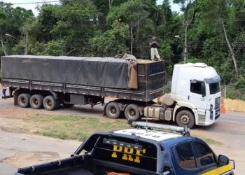 PRF e Ibama apreendem veículo com madeira sem licença na BR-163