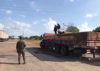 Madeira ilegal é apreendida em operação conjunta do Exército e PRF em Ipixuna do Pará