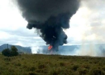 Madeireiro suspeito de tentar matar servidores do Ibama e incendiar caminhão do Exército no Pará já respondia por crimes