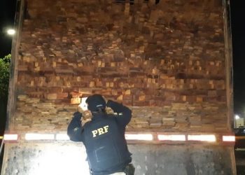 PRF apreende 36,162m³ de madeira ilegal na BR-230, em Altamira, no Pará