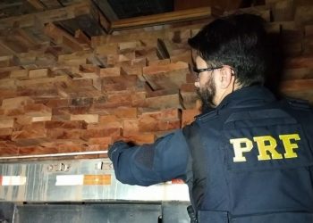 Pará lidera flagrantes de transporte ilegal de madeira no Brasil