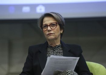 Agronegócio brasileiro é o mais sustentável do mundo, diz ministra