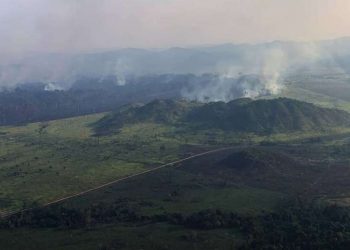 Fiocruz aponta aumento de internações de crianças no Pará por doenças respiratórias após queimadas