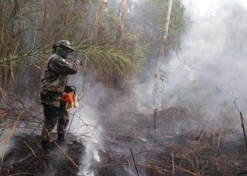 Defesa faz balanço de operações na Amazônia e no litoral do Nordeste