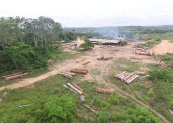 PF fecha quatro madeireiras clandestinas em São Félix do Xingu