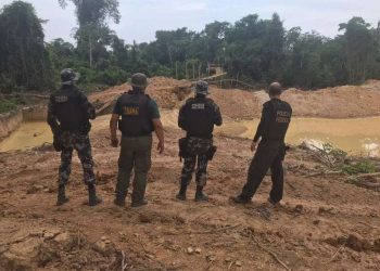 PF fecha garimpo ilegal de 1 milhão de m² em Terra Indígena Apyterewa, sudeste do Pará