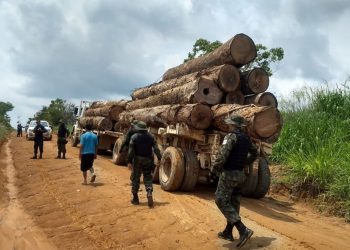 Pará intensifica combate ao desmatamento na região da Rodovia Santarém-Cuiabá