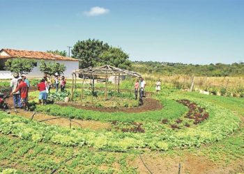 Impactos do uso de agrotóxicos é tema de debates na região oeste do Pará
