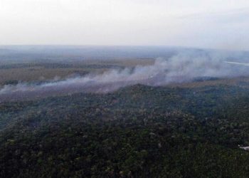 Permanecem presos os brigadistas suspeitos de incêndio criminoso em Alter do Chão
