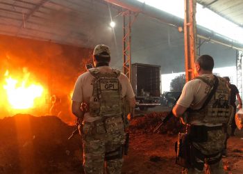 Polícia Federal incinera cerca de 2 toneladas de drogas apreendidas no PA