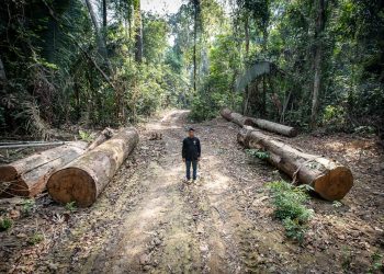 Terras indígenas têm alta de 74% no desmatamento; área mais afetada protege povo isolado