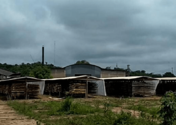 Laminadora de madeira é fechada em Castelo dos Sonhos, distrito de Altamira
