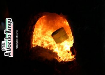 Polícia Civil de Altamira incinera mais de 100kg de drogas apreendidas na região do Xingu