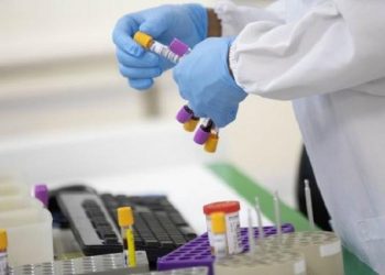 Brasileiros assinam convênio para desenvolver remédios contra malária