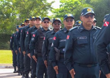 Deputados paraenses mantêm a criação da Divisão de Polícia Judiciária Militar para investigar crimes militares