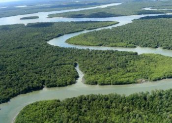 Comitiva do Pará participa da Conferência do Clima da ONU