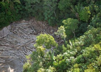 STF autoriza repasse de R$ 430 milhões para combate a incêndios e desmatamentos na Amazônia