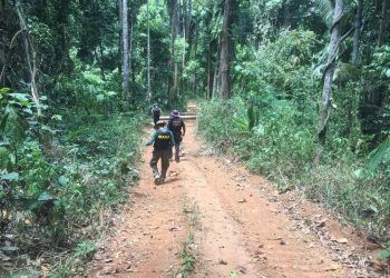 Terra indígena mais desmatada da Amazônia tem 94% de área declarada por grileiros no PA, aponta Greenpeace