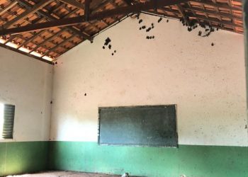 No Pará, alunos correm riscos ao frequentar escola infestada de morcegos