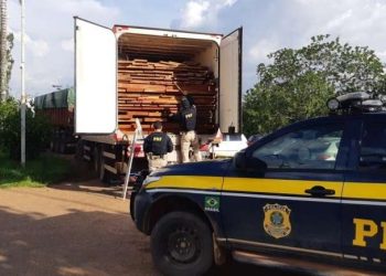 Polícia apreende dois caminhões carregados de madeira ilegal em Altamira