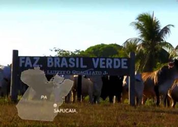 Justiça Federal torna réus fazendeiros por escravizar mais de 80 trabalhadores em Sapucaia, no Pará