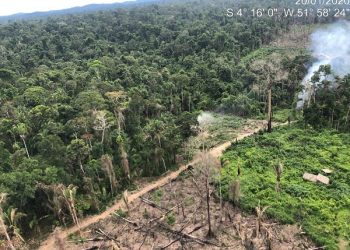 Ibama e MPF apresentam dados sobre desmatamento na TI Ituna-Itatá
