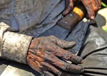 Crédito: Reprodução/Renato Alves/Ascom MTE