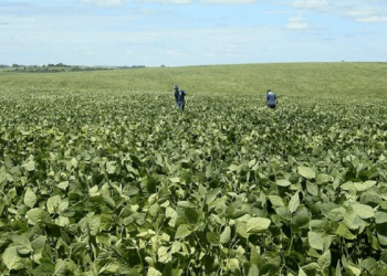 Fundos têm R$ 46,3 bilhões para Norte, Nordeste e Centro-Oeste