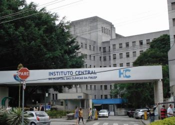 Governo Federal confirma 1ª morte por febre hemorrágica após 20 anos