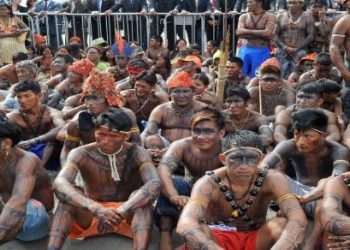 MPF pede à justiça que obrigue a Funai a recompor grupo de trabalho de estudo do território Munduruku