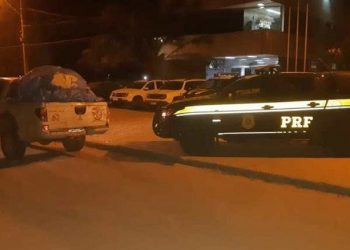 PRF apreende 5 toneladas de castanha do Pará e urucum na BR-230, em Altamira