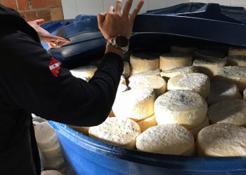 Polícia apreende mais de 17 toneladas de queijo impróprio para o consumo em Marabá, sudeste do Pará
