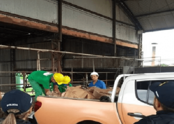 Adepará apreende quase 4 toneladas de alimentos impróprios para consumo
