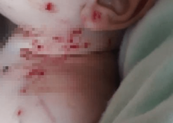 Em Muaná, mãe é presa por tentar matar filhos de 4 meses e 4 anos com golpes de chave de fenda