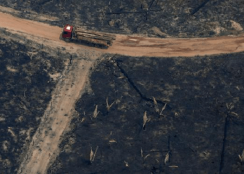 Desmatamento começa mais cedo na Amazônia e dobra em janeiro na comparação anual