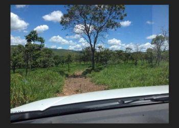 Promotoria Agrária abre ação civil pública contra terras griladas no Pará