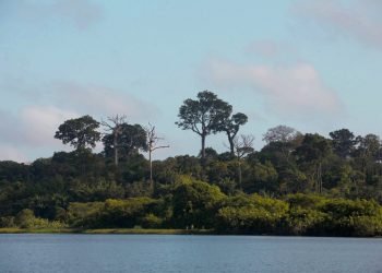 Presidente do ICMBio confirma presença em reunião de pecuaristas