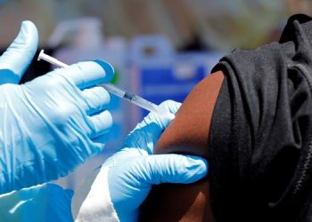 Vacinas estarão prontas para testes clínicos em 3 meses, diz David Uip