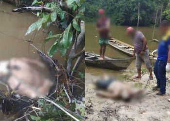 Corpo de homem é encontrado no rio Tutuí, em Uruará