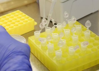 Ministério da Saúde promete 22,9 milhões de testes do novo coronavírus