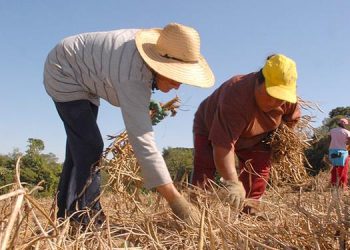 Governo fixa medidas para garantir a segurança alimentar da população