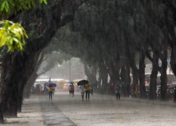 Defesa Civil do Pará alerta sobre cuidados durante o período das chuvas
